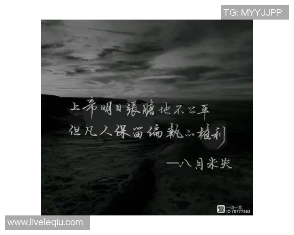 乒乓球场上的奋斗与坚持：李秀英的深度人生对话与启示