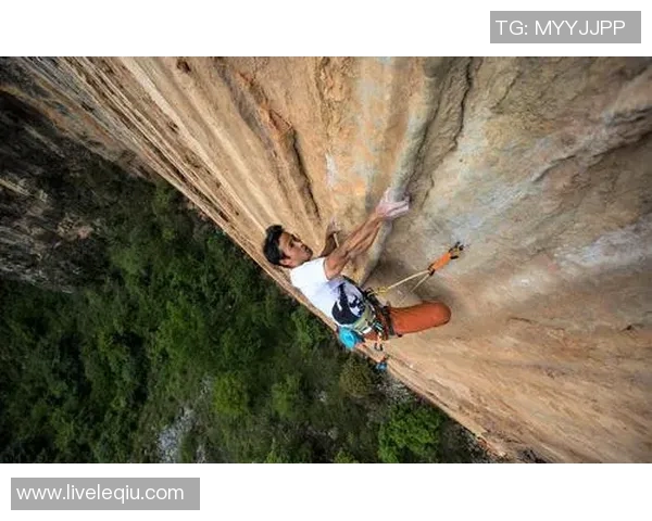 广州攀岩队奋斗历程全景记录与成长故事分享