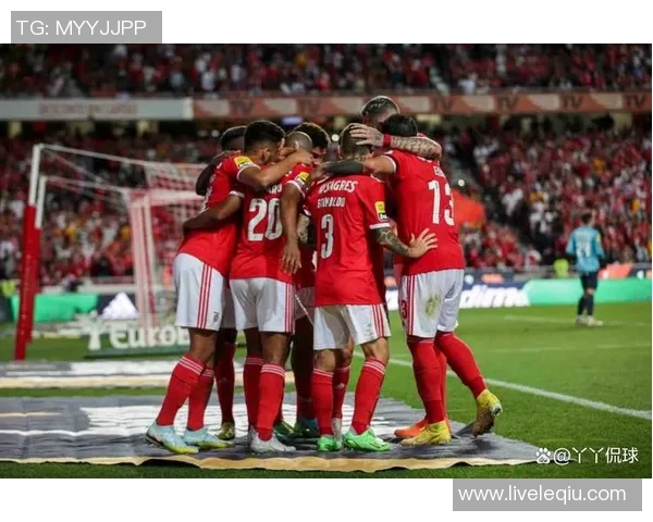 本菲卡主场迎战阿鲁卡力争三分巩固联赛领先地位